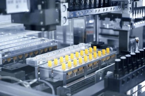 從“一支搞定”到代碼復用 信息技術領域中的開發效率哲學